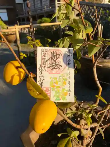 妙蓮寺の御朱印