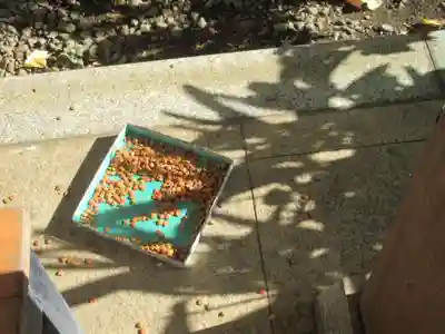 国分寺（相模國分寺）(神奈川県)