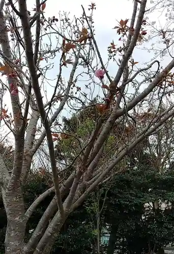 比佐豆知神社(三重県)