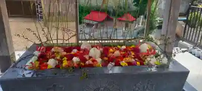 金蛇水神社の手水舎