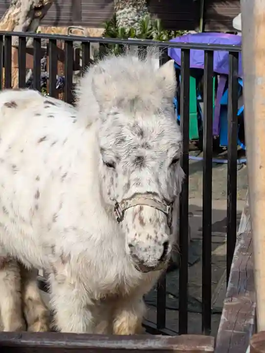 五方山熊野神社(東京都)