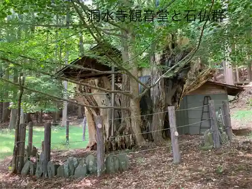 洞水寺(長野県)