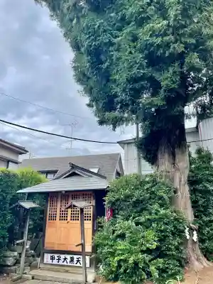 健田須賀神社(茨城県)