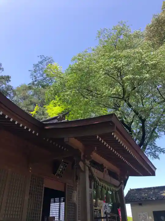 糀谷八幡宮の本殿・本堂