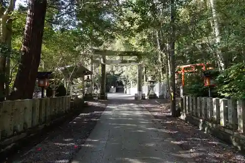 小倉神社の鳥居