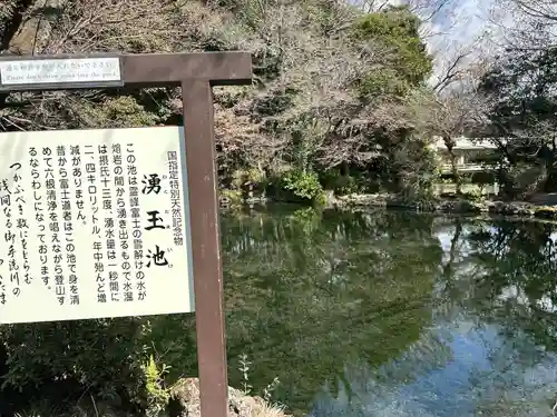 富士山本宮浅間大社(静岡県)