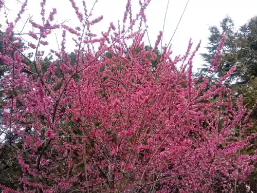 加納天満宮(岐阜県)