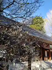 乃木神社の建物その他