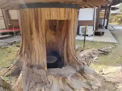 大原野神社の{uncategorized: "未分類", other: "その他", undefined: "問題あり", building: "その他建物", grave: "お墓", sacred_gate: "鳥居", guardian: "狛犬", statue: "像", buddha: "仏像", history: "歴史", nature: "自然", garden: "庭園", animal: "動物", pagoda: "塔", temizu: "手水舎", mountain_gate: "山門・神門", sanctuary: "本殿・本堂", subordinate: "末社・摂社", art: "芸術", scenery: "景色", jizo: "地蔵", ema: "絵馬", goshuin: "御朱印", omikuji: "おみくじ", items: "授与品その他", amulet: "お守り", goshuincho: "御朱印帳", eats: "食事", festival: "お祭り", votive_dance: "神楽", shichigosan: "七五三参", wedding: "結婚式", experience: "体験その他", initially: "初詣", around: "周辺", anti_infection: "感染症対策"}