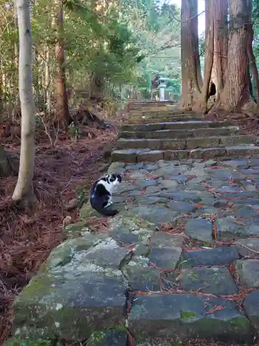 熊野那智大社の動物