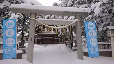 新琴似神社の鳥居