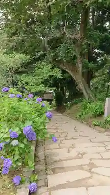 楽法寺（雨引観音）(茨城県)