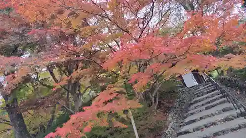 出雲大神宮(京都府)