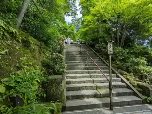 長谷寺(神奈川県)