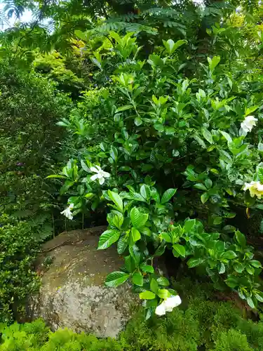 鏡石鹿嶋神社 ＊安産・開運・勝利の神さま＊(福島県)