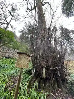 貴船神社結社(京都府)