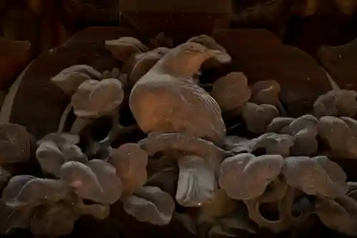 伊勢崎神社の芸術