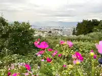 伺去神社の景色