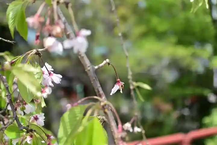 多摩川浅間神社(東京都)