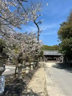 加佐美神社の{uncategorized: "未分類", other: "その他", undefined: "問題あり", building: "その他建物", grave: "お墓", sacred_gate: "鳥居", guardian: "狛犬", statue: "像", buddha: "仏像", history: "歴史", nature: "自然", garden: "庭園", animal: "動物", pagoda: "塔", temizu: "手水舎", mountain_gate: "山門・神門", sanctuary: "本殿・本堂", subordinate: "末社・摂社", art: "芸術", scenery: "景色", jizo: "地蔵", ema: "絵馬", goshuin: "御朱印", omikuji: "おみくじ", items: "授与品その他", amulet: "お守り", goshuincho: "御朱印帳", eats: "食事", festival: "お祭り", votive_dance: "神楽", shichigosan: "七五三参", wedding: "結婚式", experience: "体験その他", initially: "初詣", around: "周辺", anti_infection: "感染症対策"}