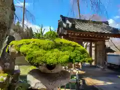 清雲寺の山門