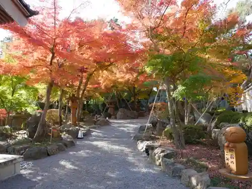 宝徳寺の景色