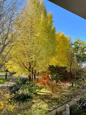 木母寺(東京都)