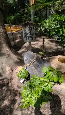 堀越神社(大阪府)