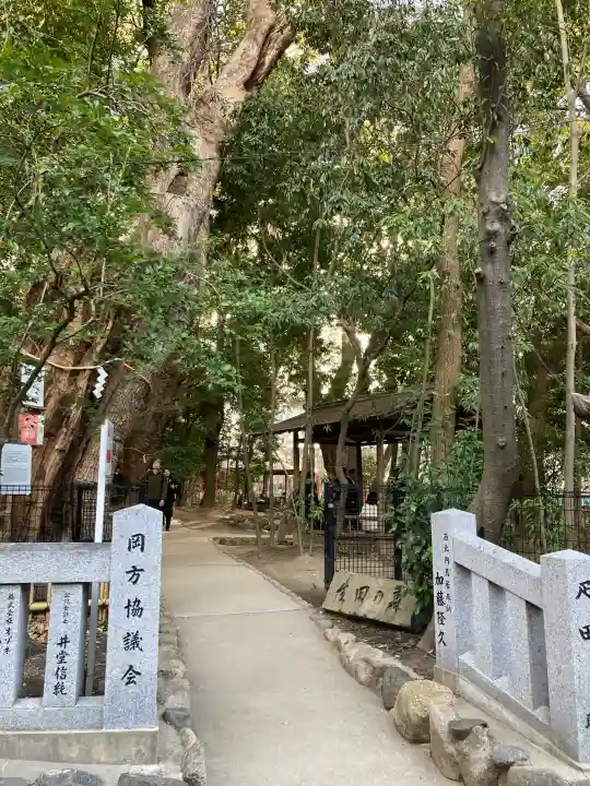 生田神社の{uncategorized: "未分類", other: "その他", undefined: "問題あり", building: "その他建物", grave: "お墓", sacred_gate: "鳥居", guardian: "狛犬", statue: "像", buddha: "仏像", history: "歴史", nature: "自然", garden: "庭園", animal: "動物", pagoda: "塔", temizu: "手水舎", mountain_gate: "山門・神門", sanctuary: "本殿・本堂", subordinate: "末社・摂社", art: "芸術", scenery: "景色", jizo: "地蔵", ema: "絵馬", goshuin: "御朱印", omikuji: "おみくじ", items: "授与品その他", amulet: "お守り", goshuincho: "御朱印帳", eats: "食事", festival: "お祭り", votive_dance: "神楽", shichigosan: "七五三参", wedding: "結婚式", experience: "体験その他", initially: "初詣", around: "周辺", anti_infection: "感染症対策"}