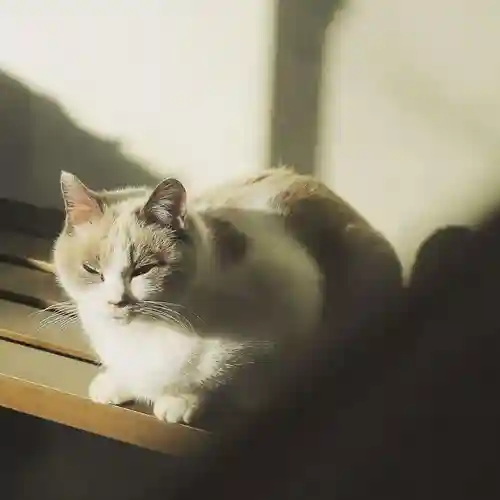 下野大師華蔵寺の動物