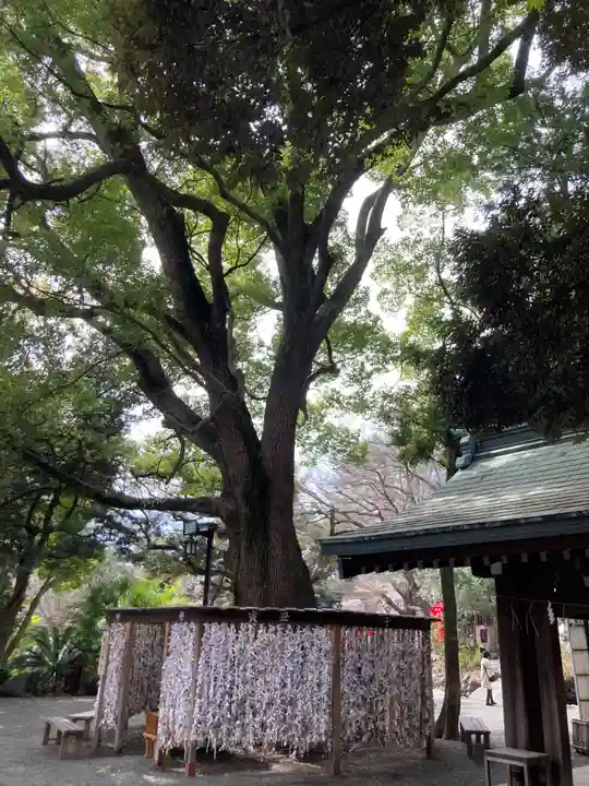 平塚八幡宮(神奈川県)