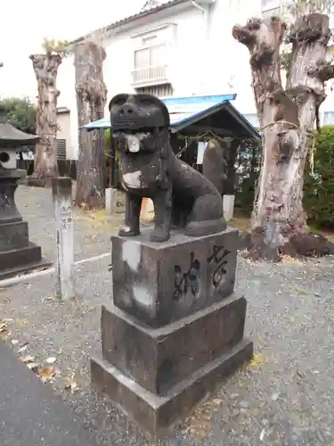 松江大神宮の狛犬