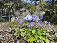 小松寺(千葉県)