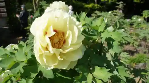 観音寺(千葉県)