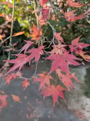 高円寺(東京都)