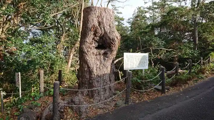 蓮着寺(静岡県)