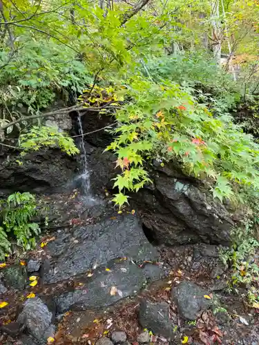 戸隠神社奥社(長野県)