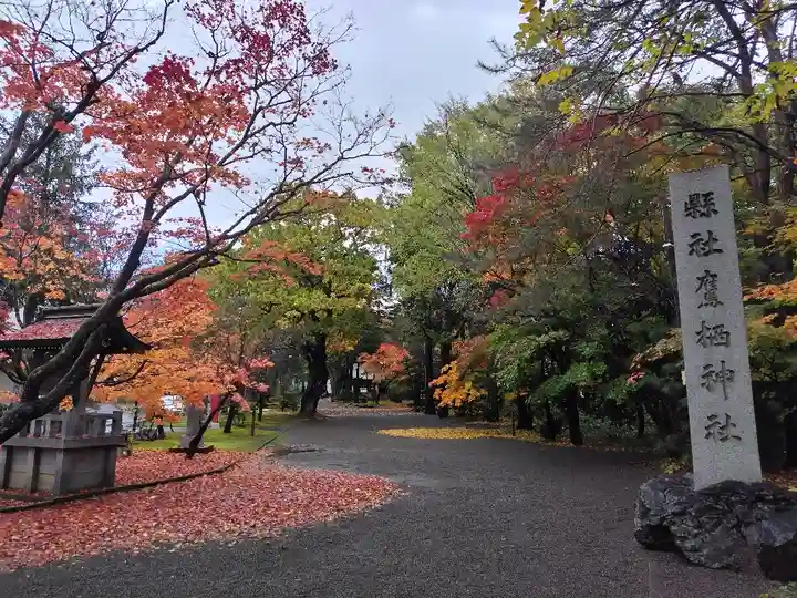 鷹栖神社の自然