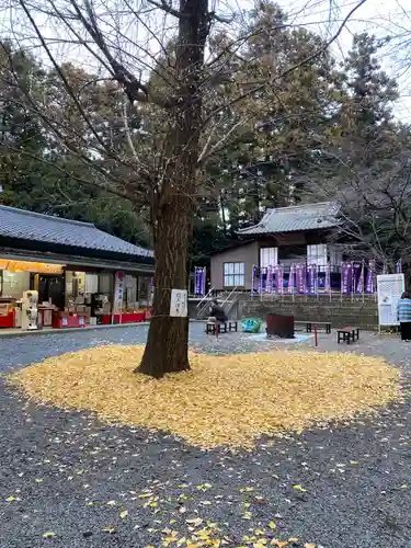 下野 星宮神社(栃木県)
