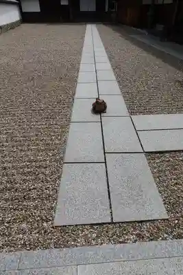 金剛寺のその他建物