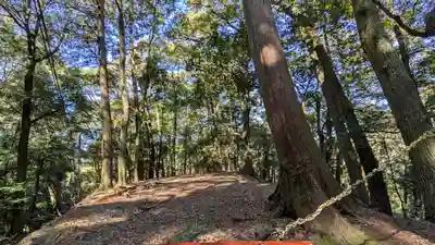 醍醐寺(上醍醐)(京都府)