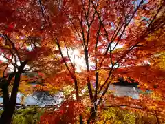 龍安寺(京都府)