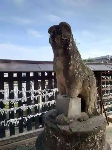 艮神社の狛犬