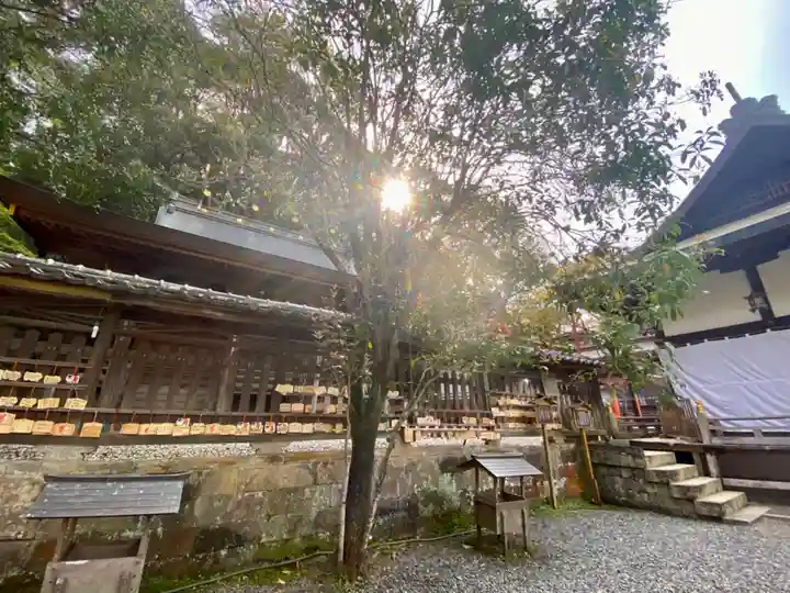 闘鶏神社(和歌山県)