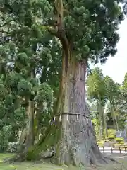 清澄寺(千葉県)