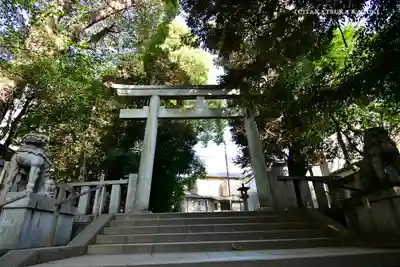 渋谷氷川神社の鳥居