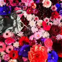 札幌諏訪神社の手水舎