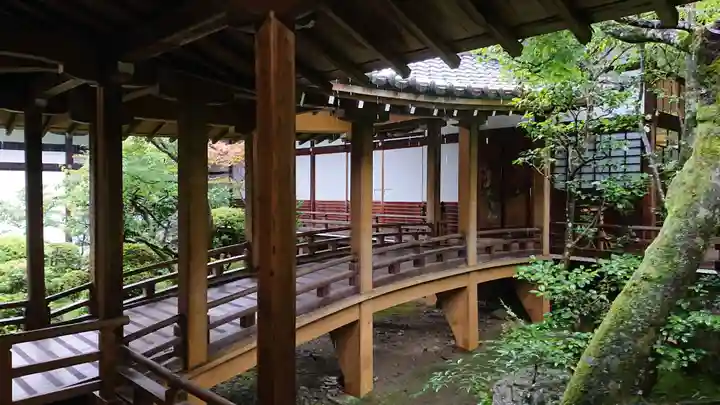 禅林寺(永観堂)の庭園