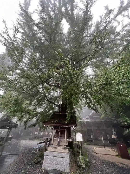 正法寺(滋賀県)