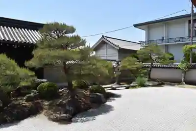 観智院（東寺子院）の庭園